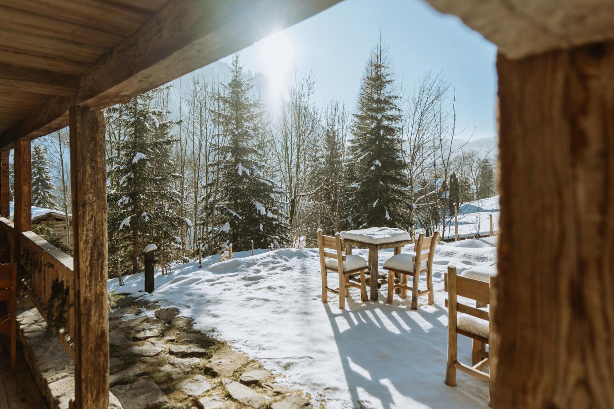 Chalet 1864 Ле-Гран-Борнан Екстер'єр фото