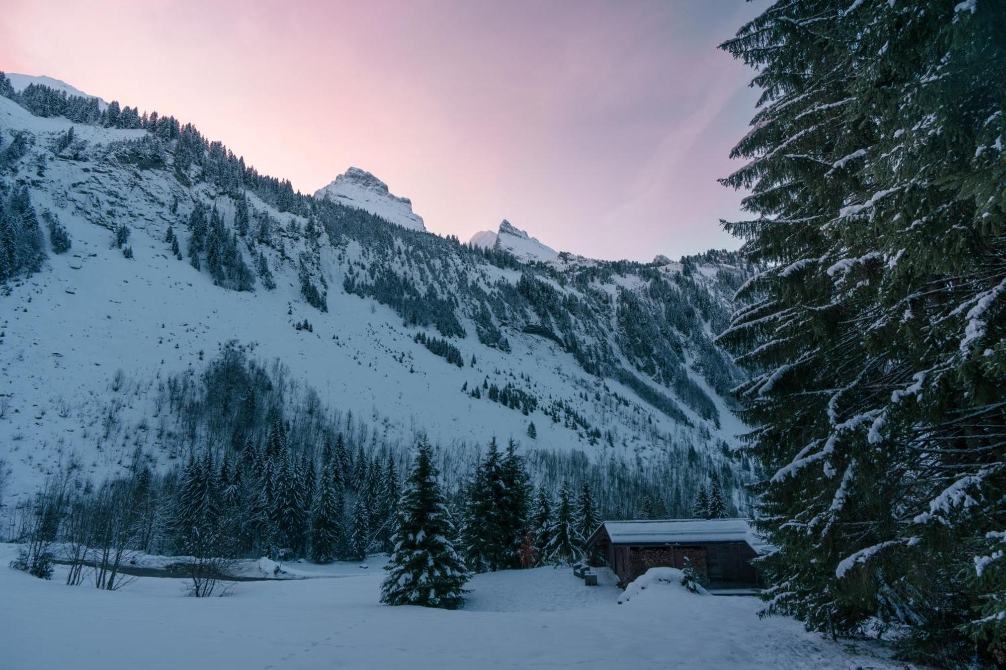 Chalet 1864 Ле-Гран-Борнан Екстер'єр фото